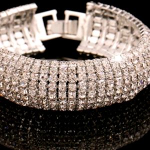 Dazzling and Shining Silver Bracelet/Bangle